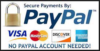 PaypalLogo1sm